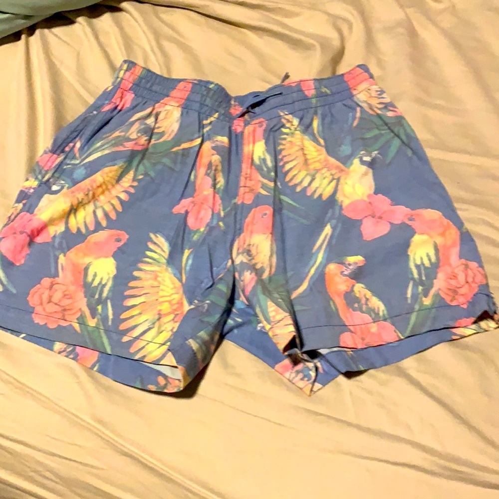 Men's Chubbies swim trunks 5.5 inseam